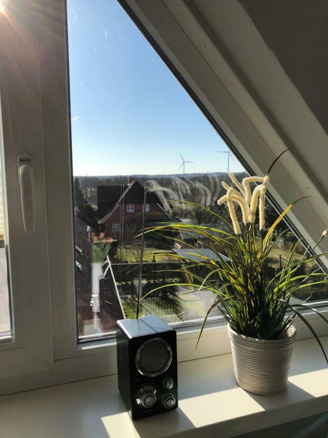 Gemuetliche Ferienwohnung Im Luftkurort Albersdorf  Dış mekan fotoğraf